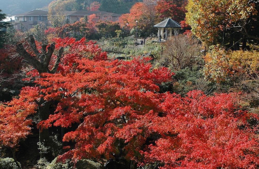 Suikoukan Hakone Eksteriør billede