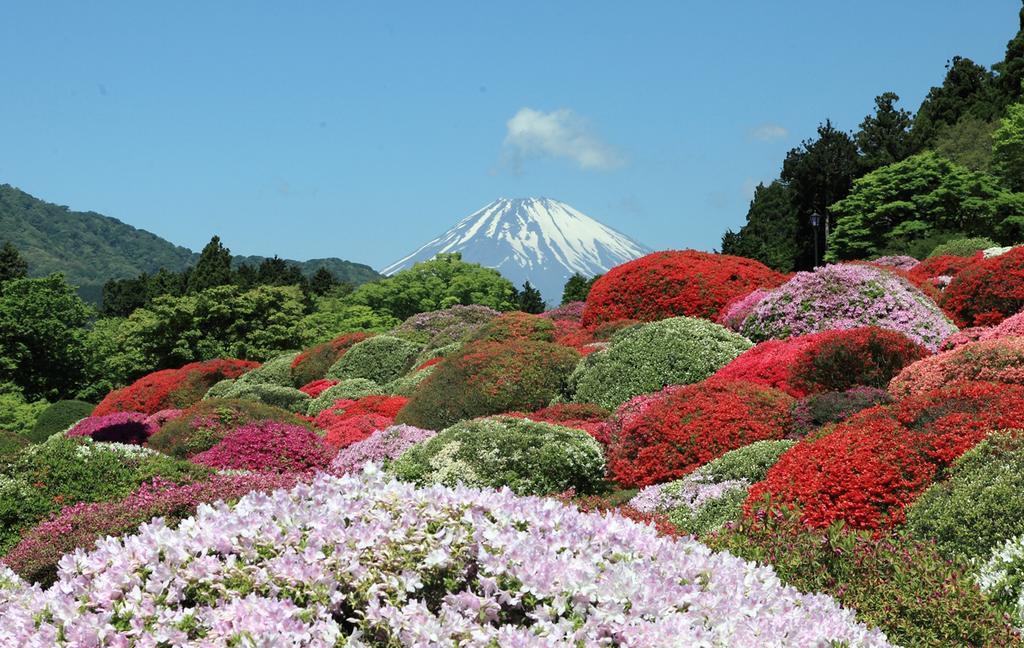 Suikoukan Hakone Eksteriør billede